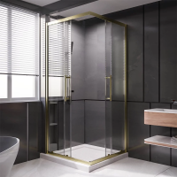 Душевой угол раздвижной 1000Х900x2000 цвет профиля Золото брашированное стекло прозрачное  PTC20-G-10090-01-C4 Premium Veconi